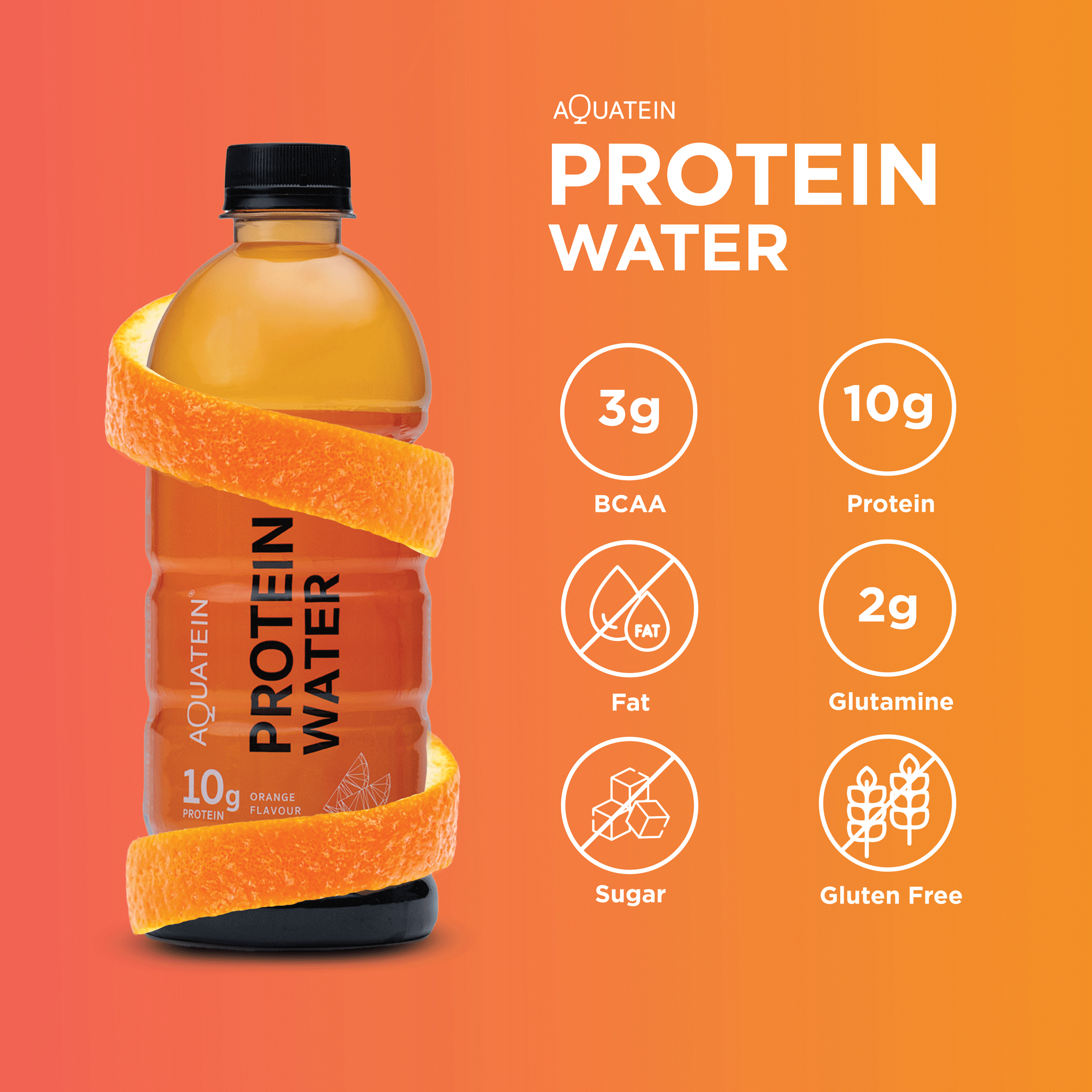 Summer Bundle: 10g Protein + Vitamin Water + Electrolyte Water